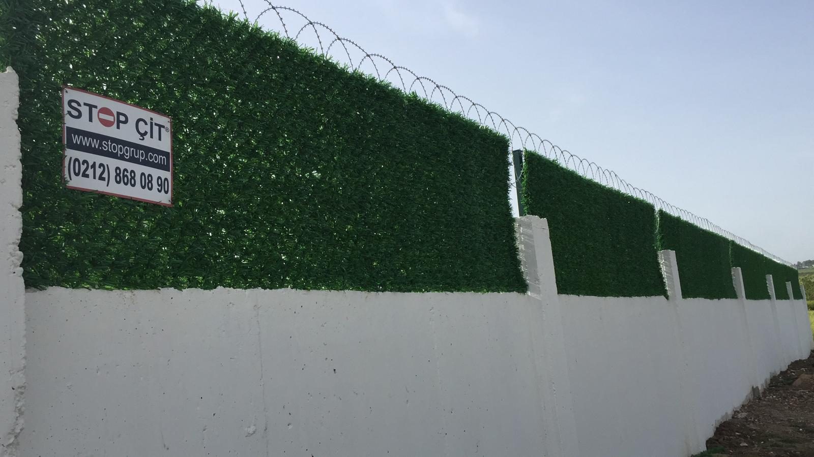 65596dcf-34f6-48a2-86ad-8d92e708b485