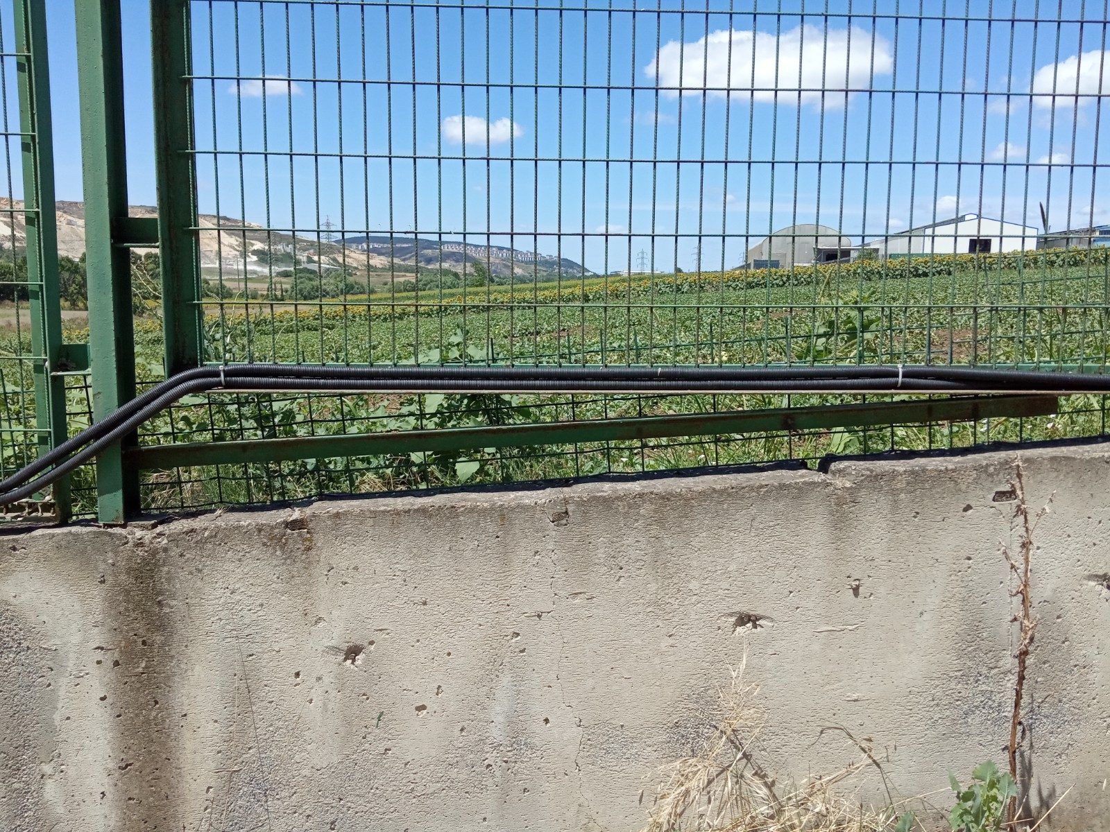 81d958ca-fef5-42af-a4e6-f4d3d09533ef