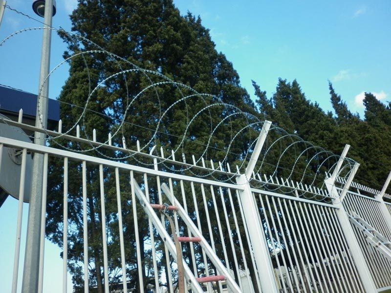 proje-kent-cikolata-12