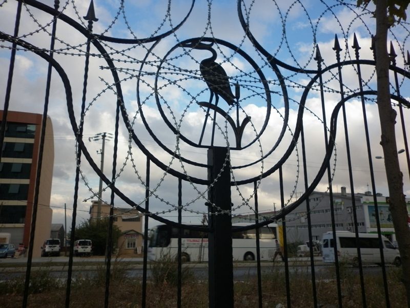 proje-pelican-hill-01