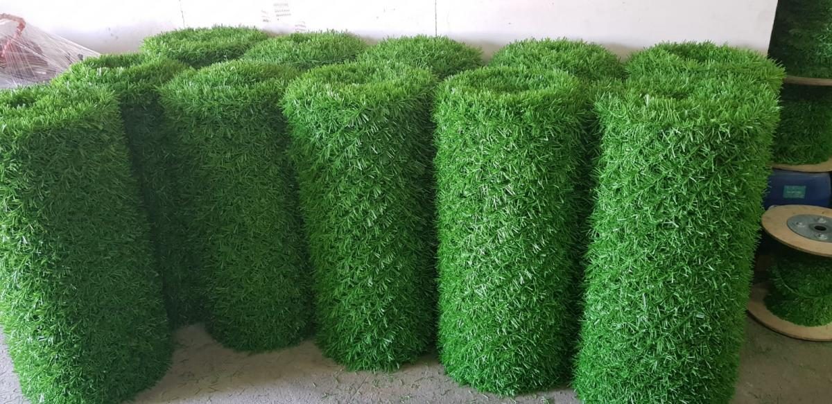 Zeytinburnu Çim Çit