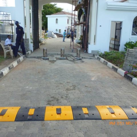 proje-tanzanya-buyukelciligi-03