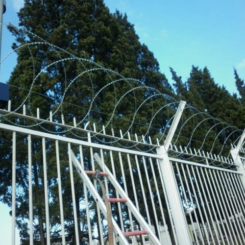 proje-kent-cikolata-12