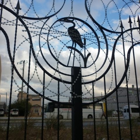 proje-pelican-hill-01