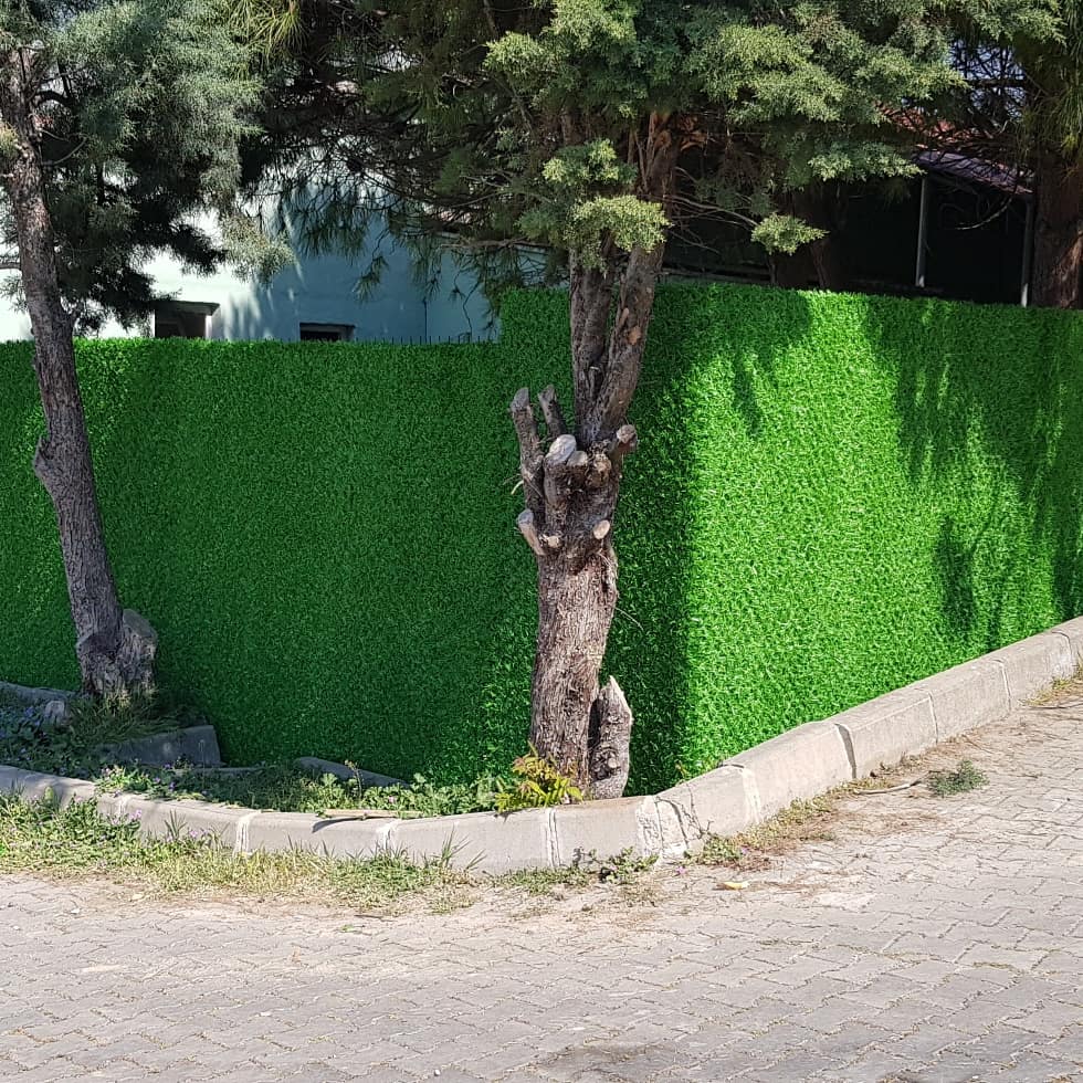 Çim_Çit-75