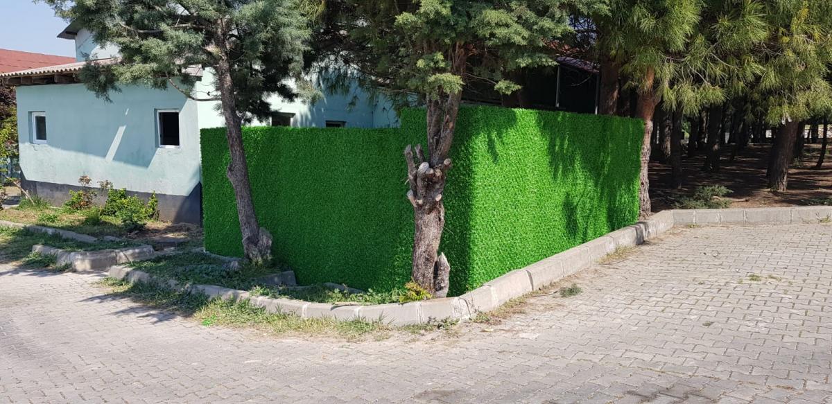 Çim_Çit-88